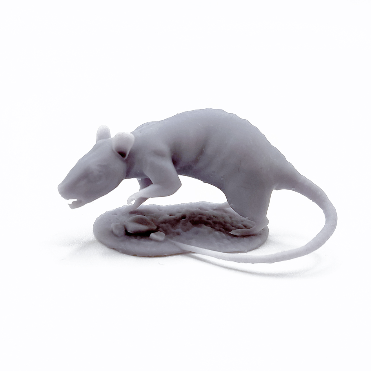 rat_02