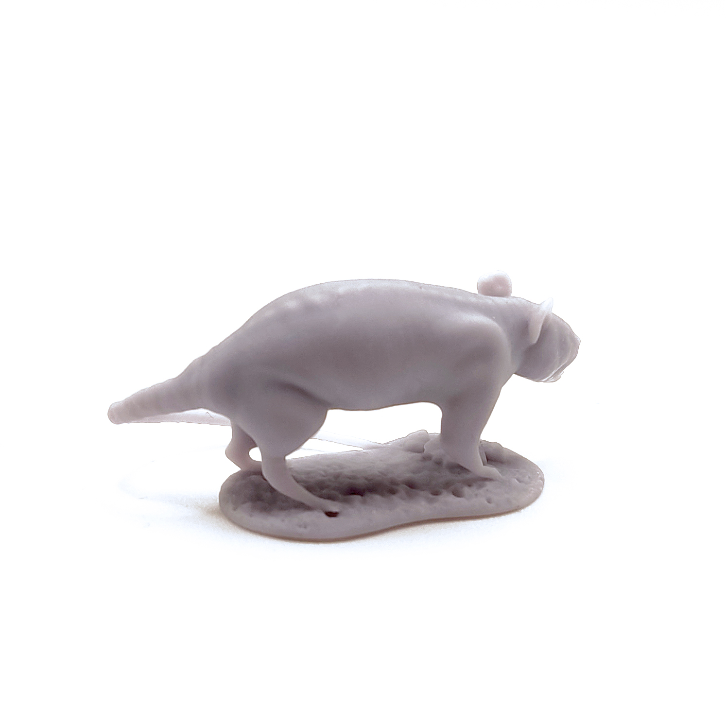 rat_04