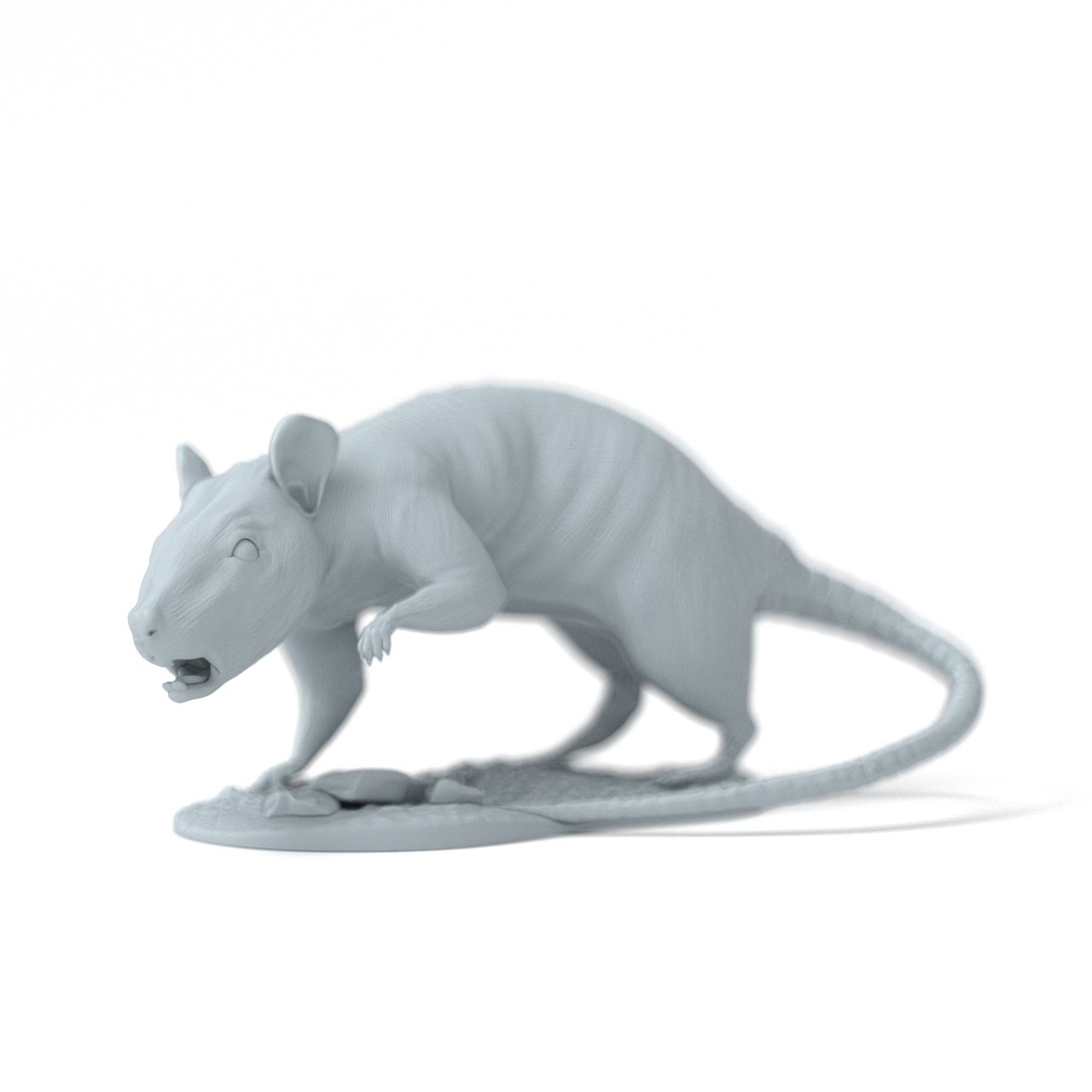 w_rat