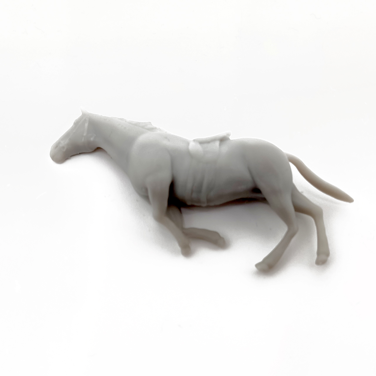 horse_03