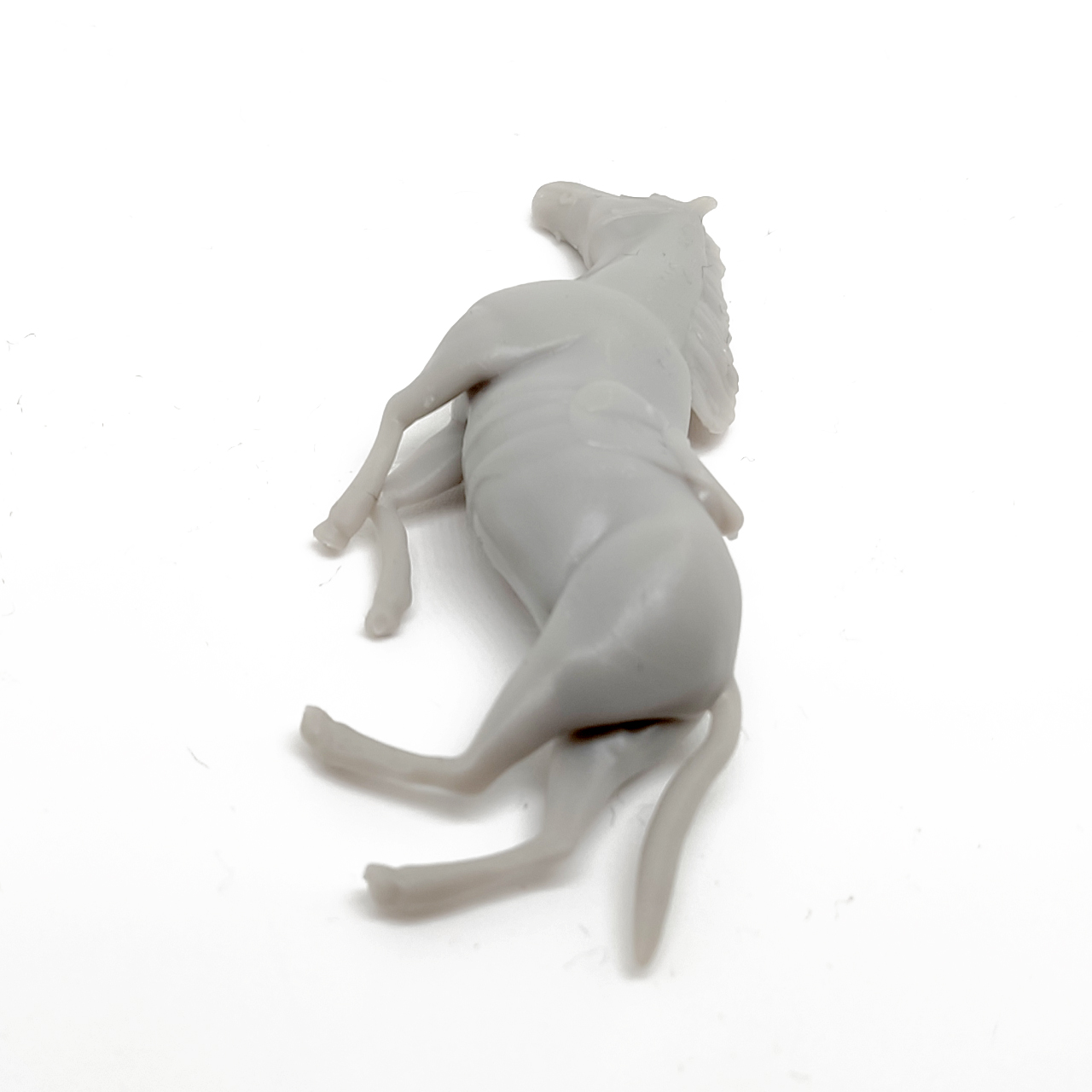 horse_04