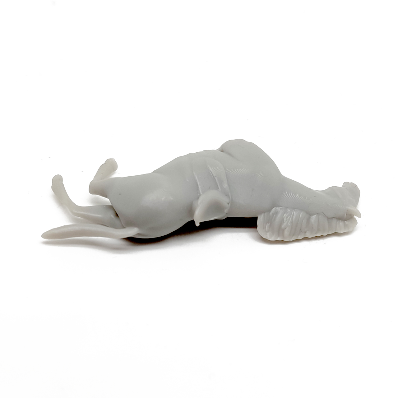 horse_05