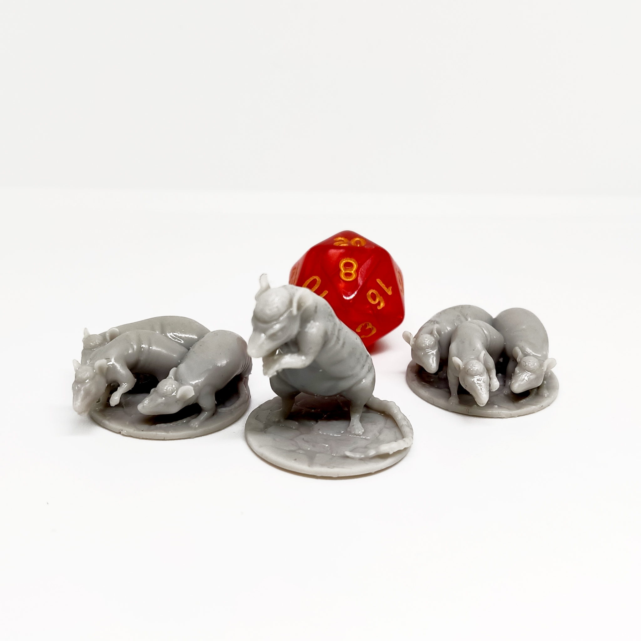 1707836389624 ratas craneales Dungeons and Dragons